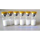 Chinese manufacturer supply white color Recombinant human epidermal growth factor,EGF