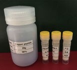 safe and effective anti-aging Copper Tripeptide (GHK-Cu or AHK-Cu ) in blue powder form