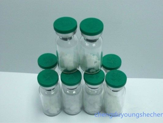 White color cosmetic peptide Bodyfensine,Acetyl dipeptide-3 aminohexanoate with high quality