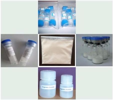 high quality white color powder Semax peptide and ACTH(4-10)from Youngshe