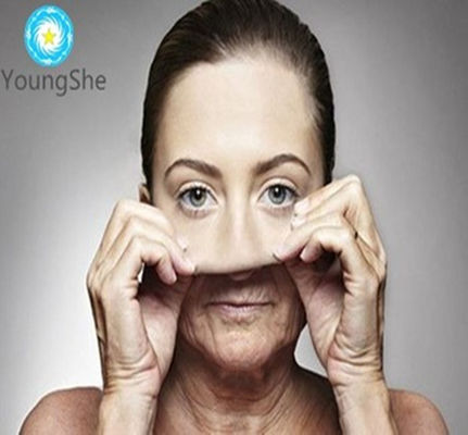 High purity anti-aging peptide white powder Myristoyl Octapeptide-1/Sympeptide 239
