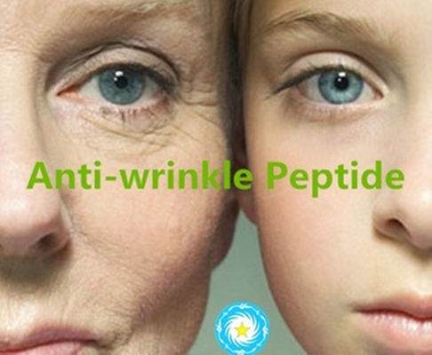 The best anti-wrinkle peptide white color powder Acetyl Heptapeptide- 4 SNAP-7 cas1253115-74-0